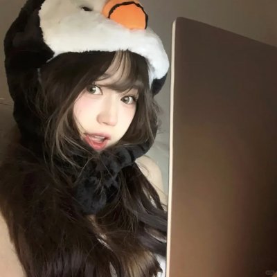阿基里斯与龟